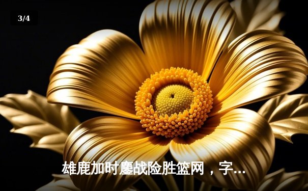 雄鹿加时鏖战险胜篮网，字母哥狂砍44分率队捍卫主场 - 3